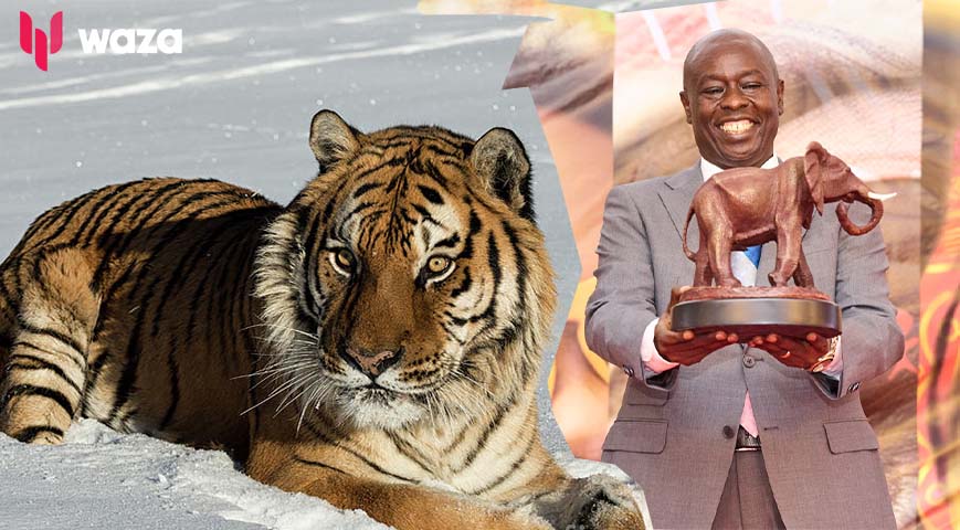 Gachagua's hilarious excuse for saying 'Kenya has tigers'